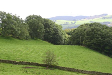 view at Dunscore