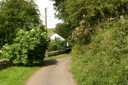 An Access road over a ford Durisdeer