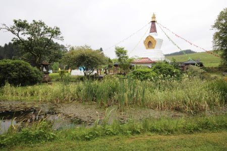 Ponds @ Samye ling