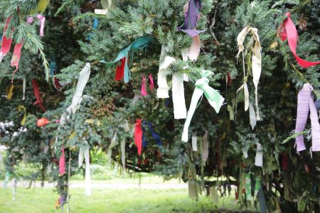 The prayer Tree Prayer tree at Samye Ling