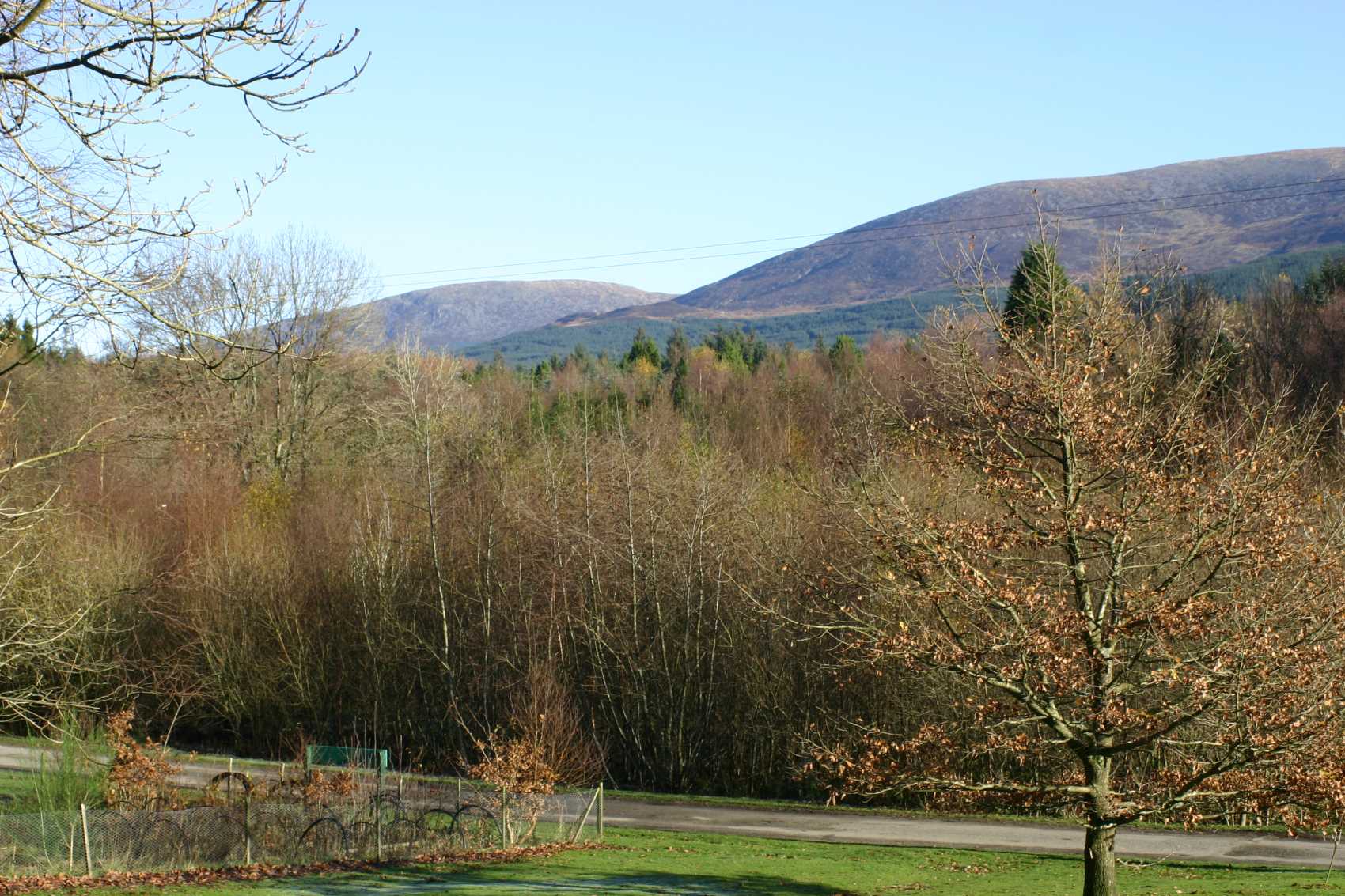 view at Galloway forest