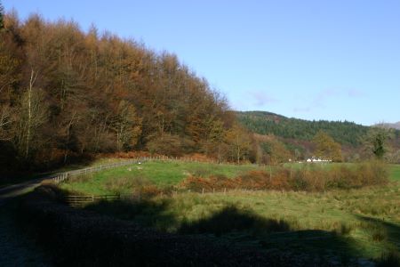  New Galloway Forest