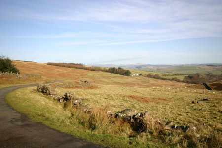 Sculptures at Glenkiln