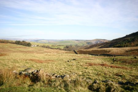 Sculptures at Glenkiln