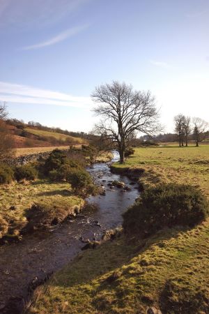 Sculptures at Glenkiln