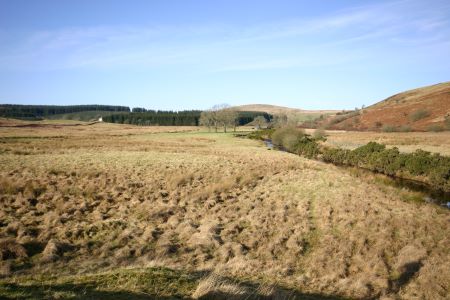 Sculptures at Glenkiln