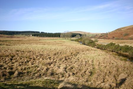 Sculptures at Glenkiln