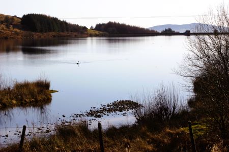 Sculptures at Glenkiln