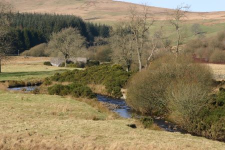 Sculptures at Glenkiln