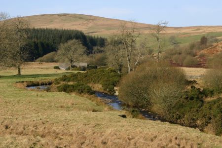 Sculptures at Glenkiln