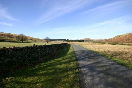 Sculptures at Glenkiln