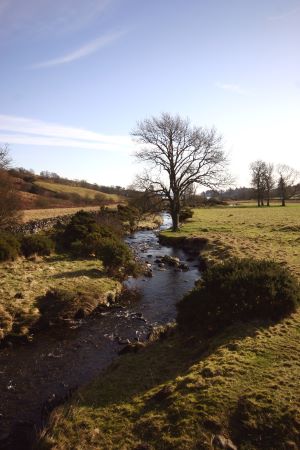 Sculptures at Glenkiln