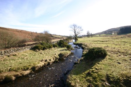 Sculptures at Glenkiln
