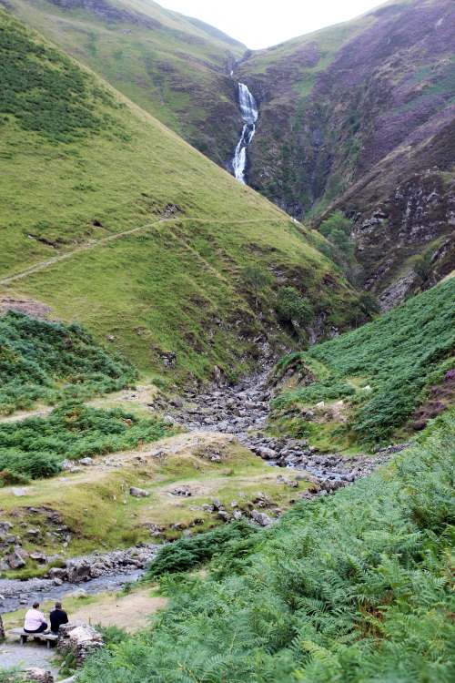 Grey Mares Tail
