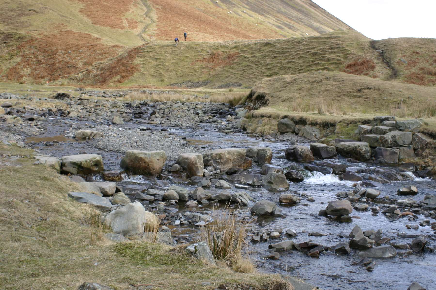 GreyMares Tail 