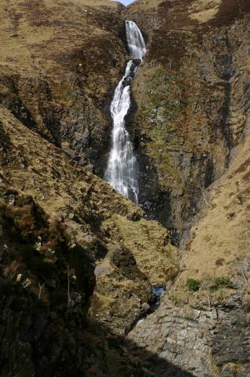 GreyMares Tail 