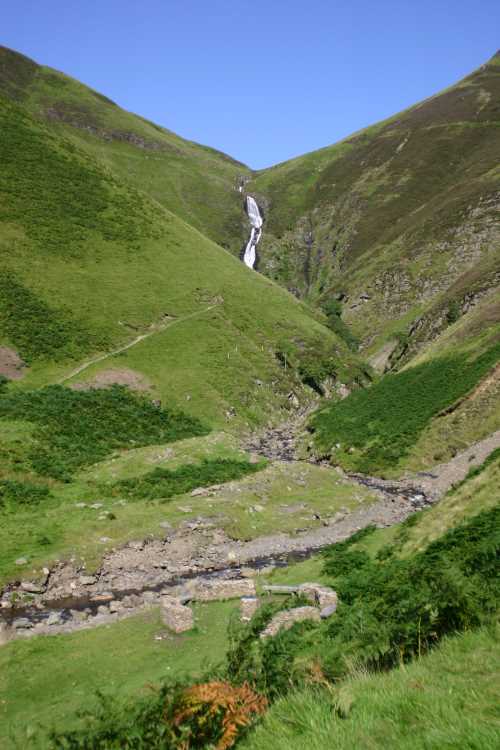 GreyMares Tail 