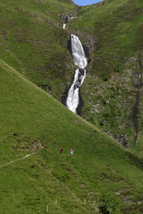 GreyMares Tail 