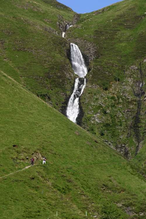 GreyMares Tail 
