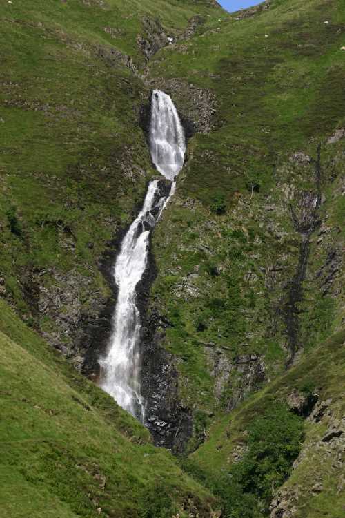 GreyMares Tail 