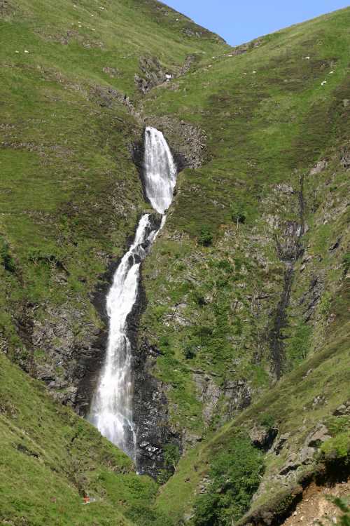 GreyMares Tail 