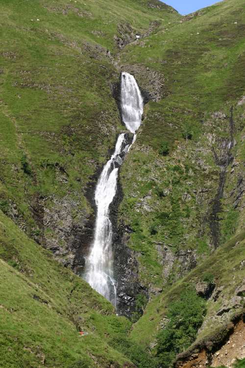 GreyMares Tail 