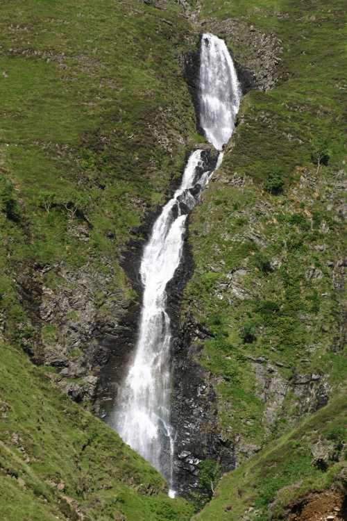 GreyMares Tail 