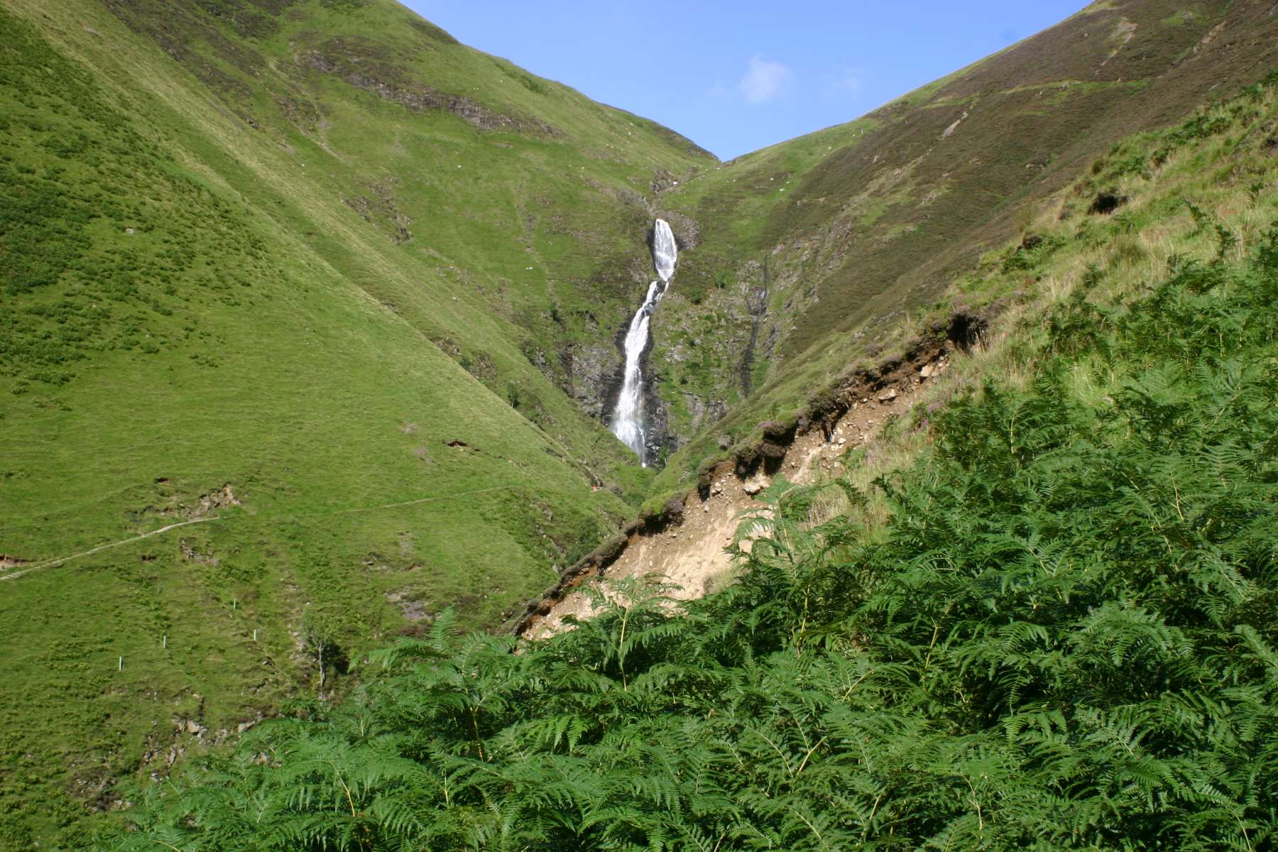 GreyMares Tail 