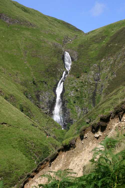 GreyMares Tail 