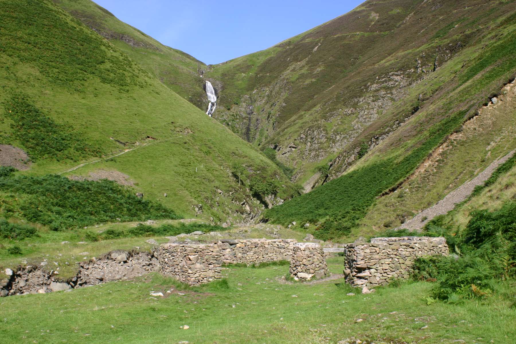GreyMares Tail 
