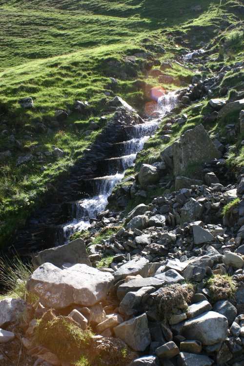 GreyMares Tail 