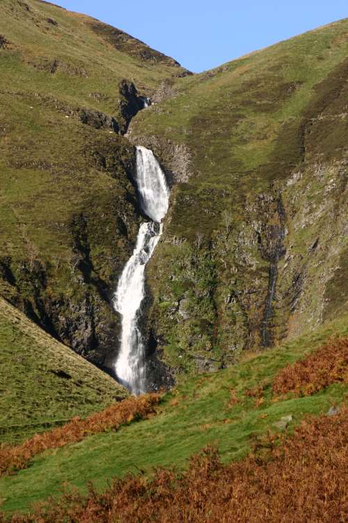 GreyMares Tail 
