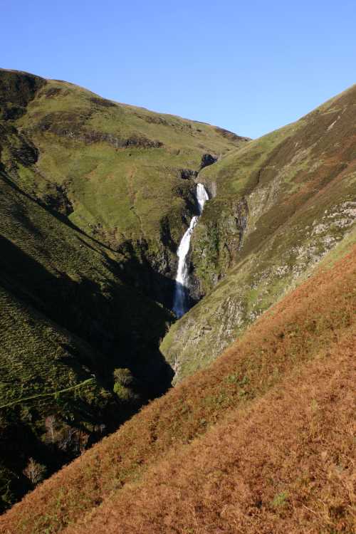 GreyMares Tail 