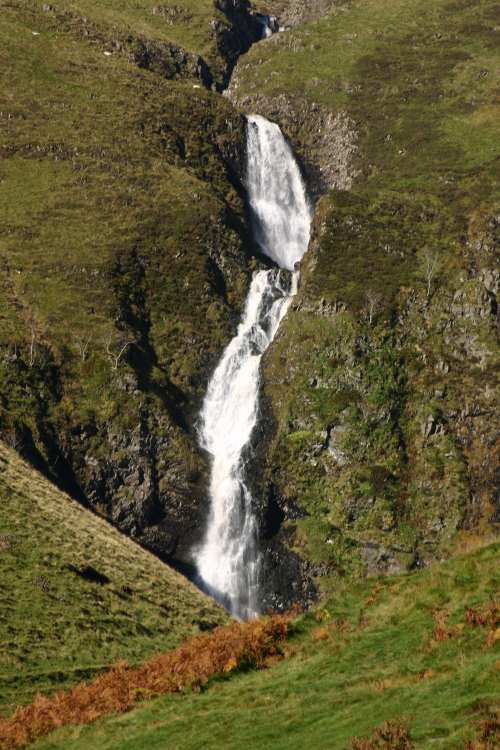 GreyMares Tail 