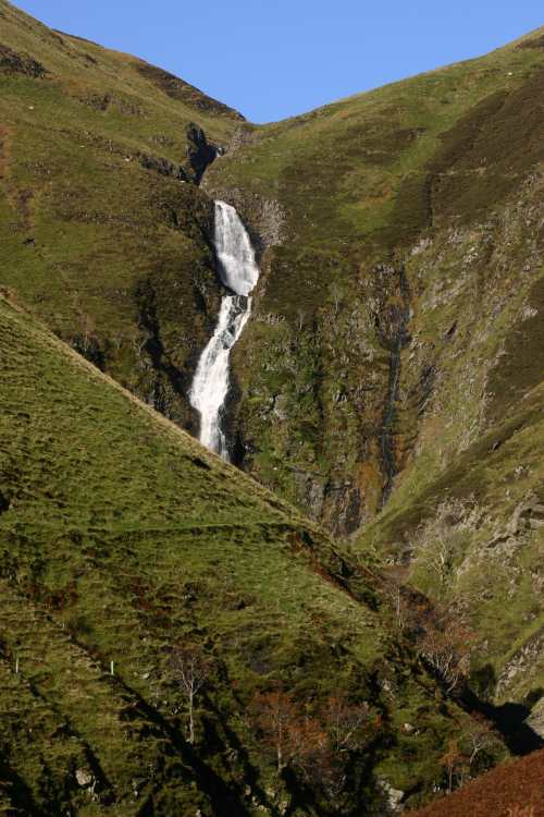 GreyMares Tail 