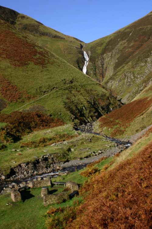 GreyMares Tail 