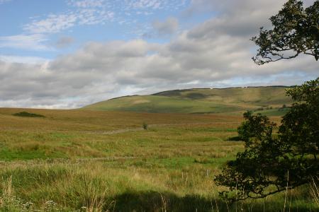 View from Hermitage_castle 