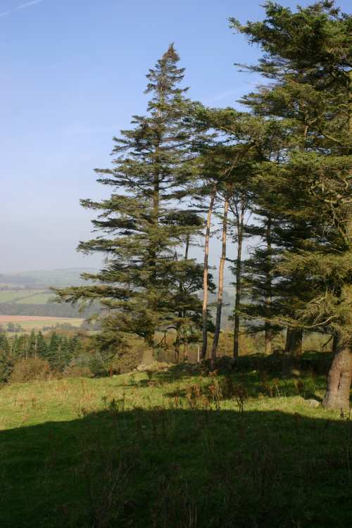 View from the Repentance tower 2007