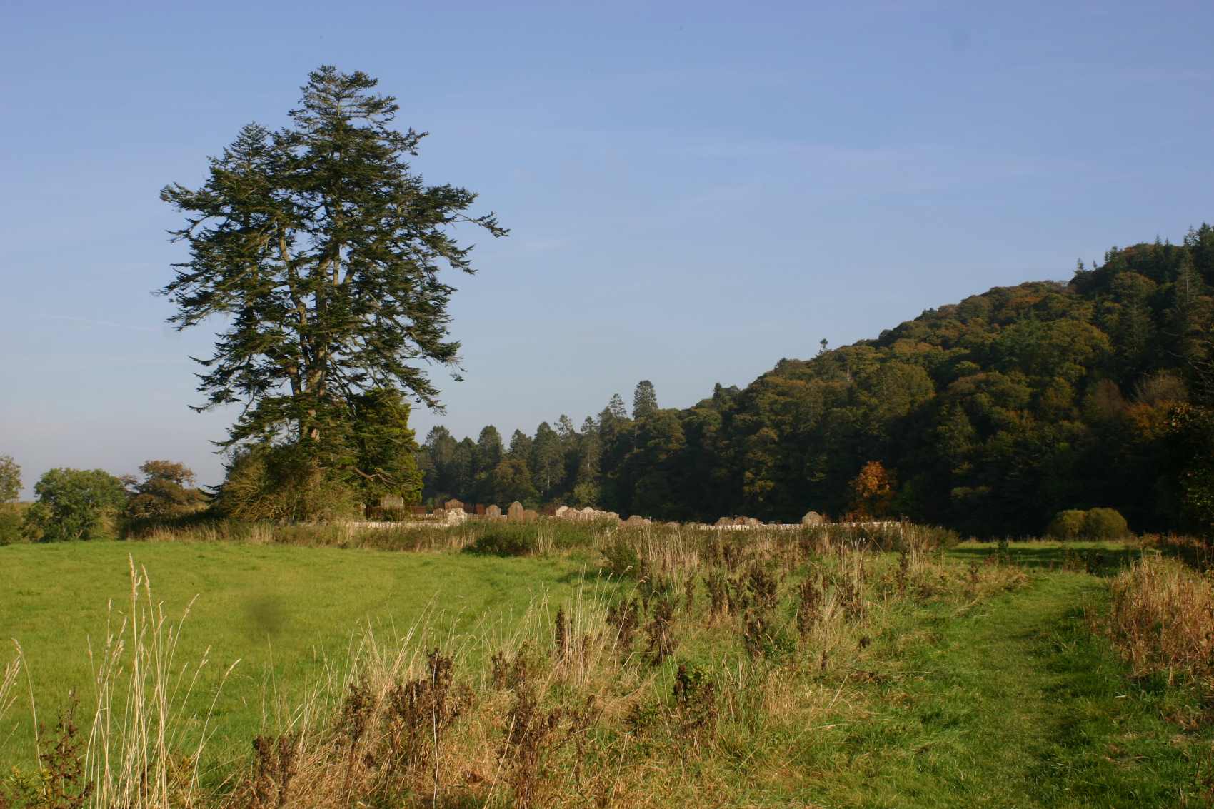 Hoddom burial ground