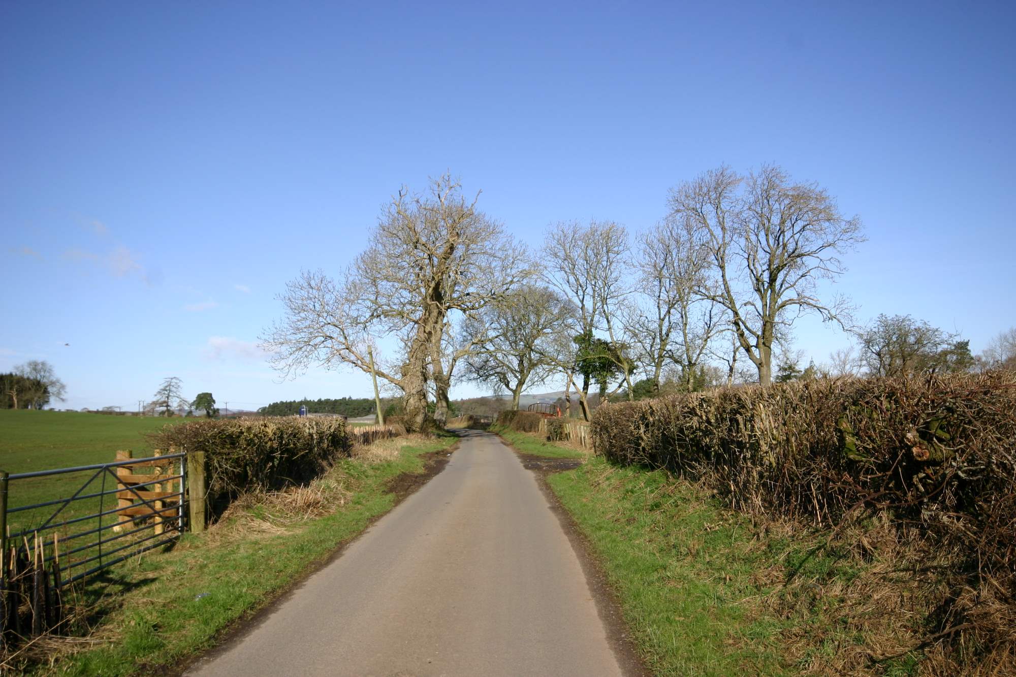 Road at Holywood