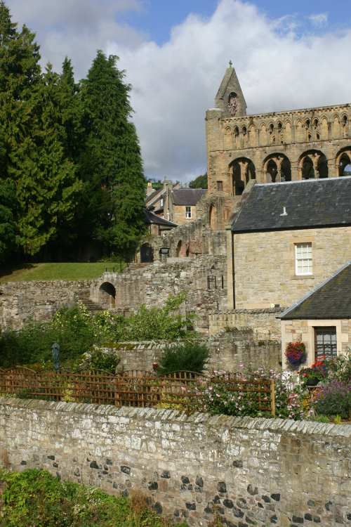 jedburgh abbey 