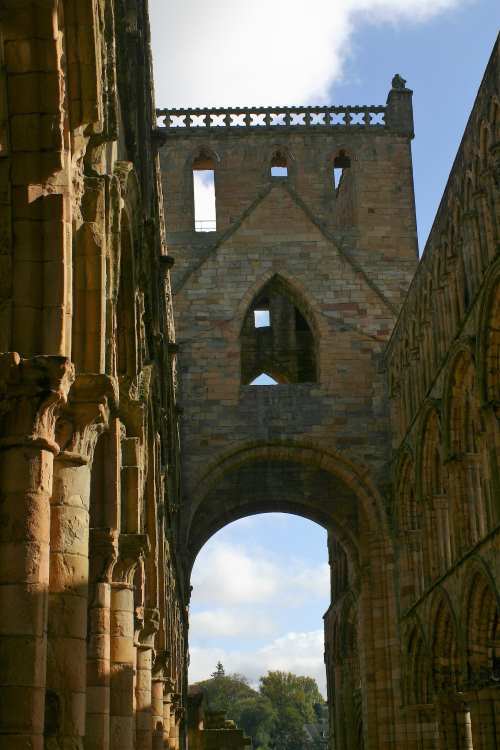 jedburgh abbey 