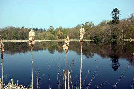 kinmount estate,Annan