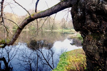 kinmount estate,Annan