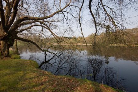 kinmount estate,Annan