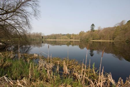 kinmount estate,Annan