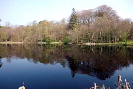 The Duck pond, kinmount estate