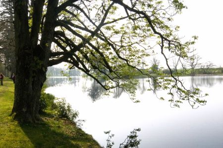 Kinmout Estate, Annan