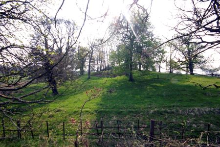 The Lake, Kinmout Estate