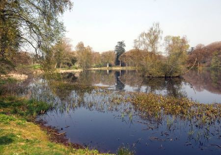 The Lake, Kinmout Estate